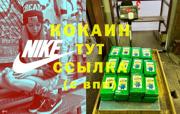 прущие грибы Киреевск