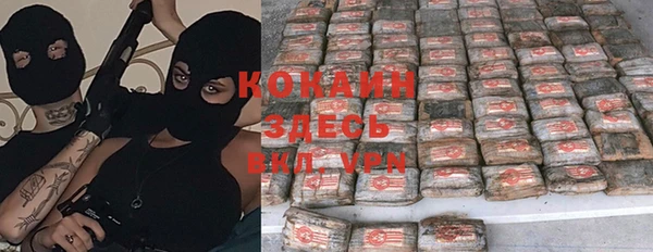 прущие грибы Киреевск