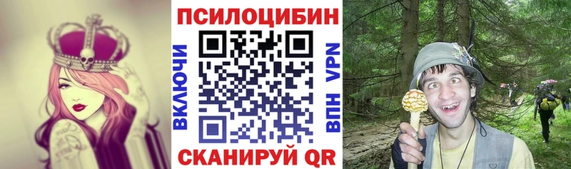 Галлюциногенные грибы Psilocybe  Купить закладки  Карасук 