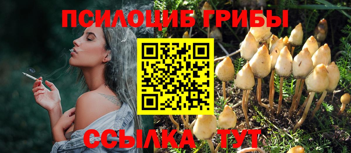 Псилоцибиновые грибы GOLDEN TEACHER  Вход с VPN  Карасук 