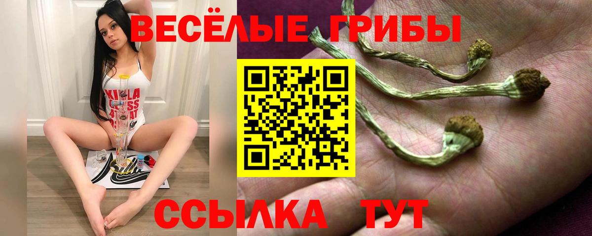 Галлюциногенные грибы Psilocybe Карасук